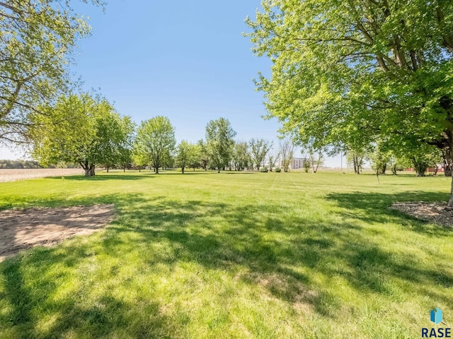 view of grassy yard