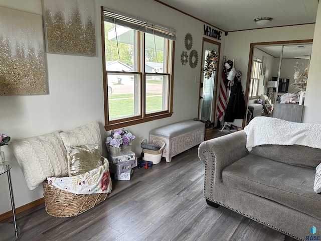 531 N Adams St, Salem, SD 57058 - living room featuring wood finished floors and baseboards