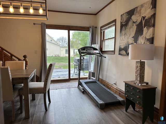 531 N Adams St, Salem, SD 57058 - exercise area featuring ornamental molding and dark wood-style floors