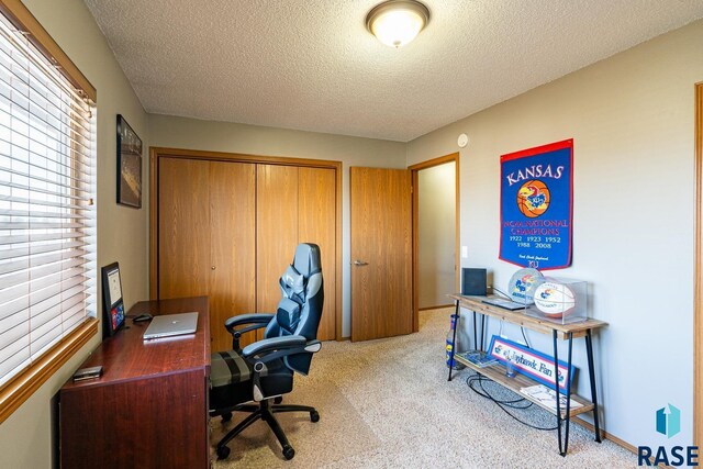 1805 S Sertoma Ave Unit 105, Sioux Falls, SD 57106 - carpeted home office featuring a textured ceiling