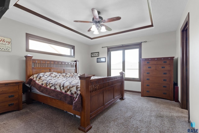 2300 Carson Cir, Tea, SD 57064 - bedroom featuring carpet, a tray ceiling, a ceiling fan, and baseboards
