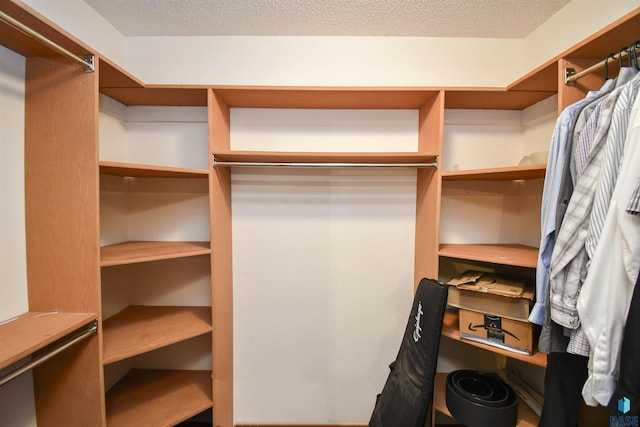 4600 S Harrington Ave, Sioux Falls, SD 57103 - view of spacious closet