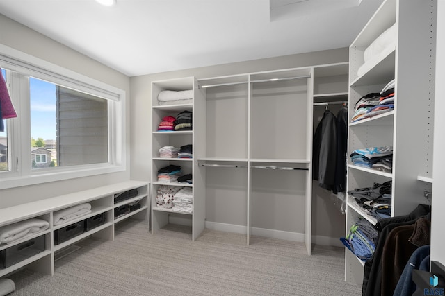 2009 S Firestone Ln, Sioux Falls, SD 57110 - walk in closet with carpet flooring