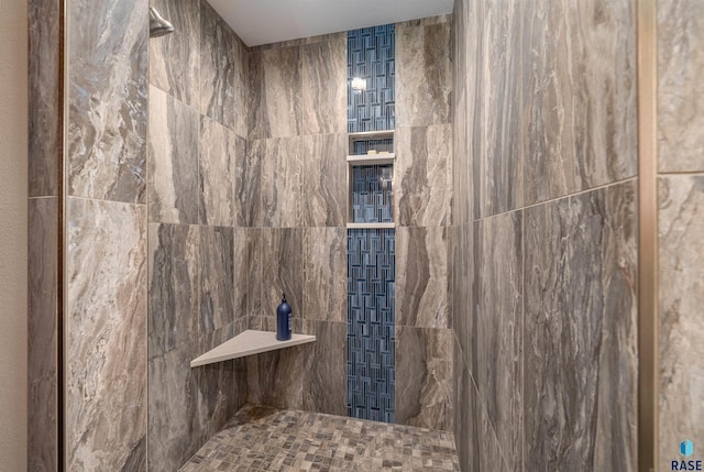 48190 265th St, Brandon, SD 57005 - full bathroom with a tile shower