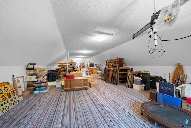 48190 265th St, Brandon, SD 57005 - additional living space featuring a textured ceiling, vaulted ceiling, and carpet flooring