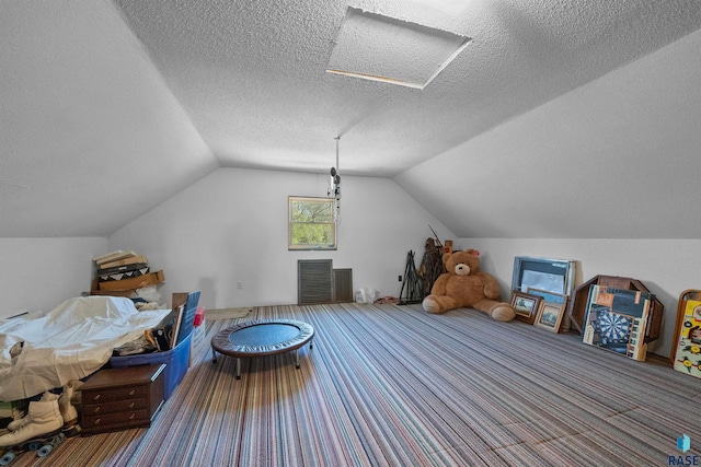 48190 265th St, Brandon, SD 57005 - additional living space featuring a textured ceiling, lofted ceiling, carpet flooring, and attic access