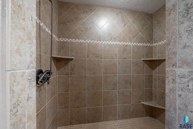 2305 N Ivy Rd, Tea, SD 57064 - full bath with a tile shower
