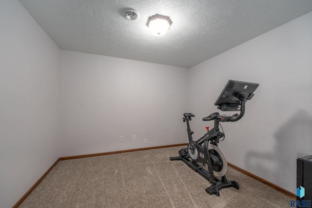 2305 N Ivy Rd, Tea, SD 57064 - exercise room featuring carpet, a textured ceiling, and baseboards
