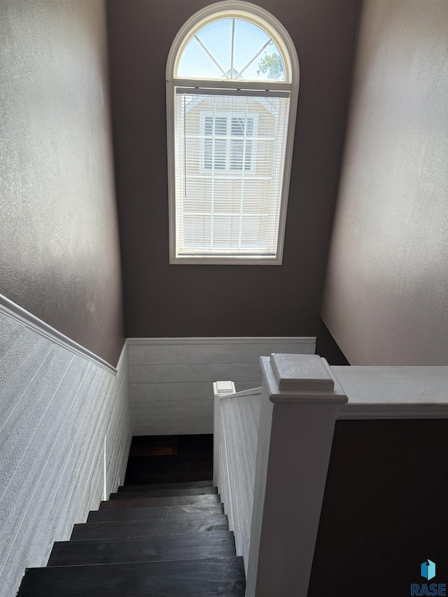 staircase featuring wood finished floors and wainscoting