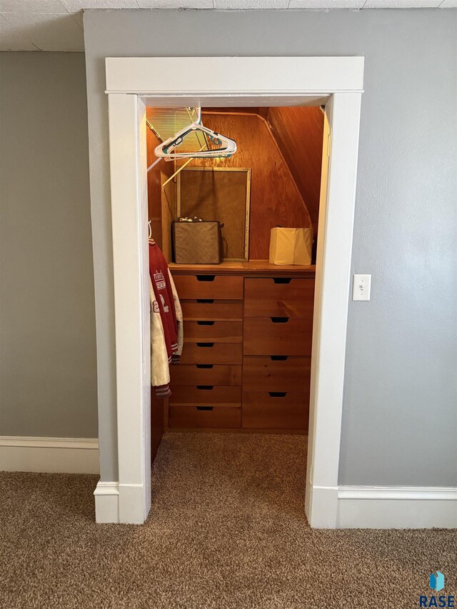 detailed view of carpet floors, baseboards, and a relaxing sauna