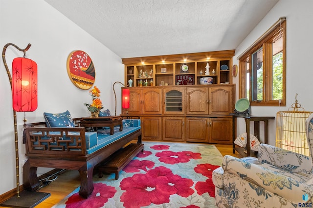 1013 E Ridge Rd, Sioux Falls, SD 57105 - living area with light wood-style flooring and a textured ceiling