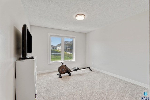 exercise area featuring carpet, baseboards, and a textured ceiling