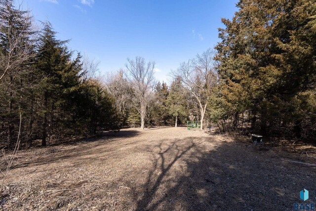 31780 476th Ave, Elk Point, SD 57025 - view of woods