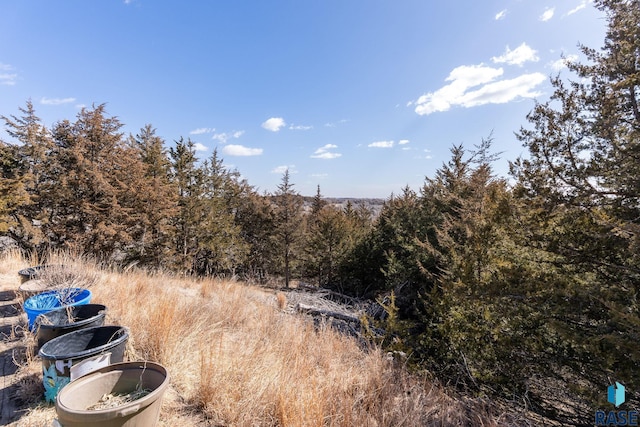 31780 476th Ave, Elk Point, SD 57025 - view of wooded area