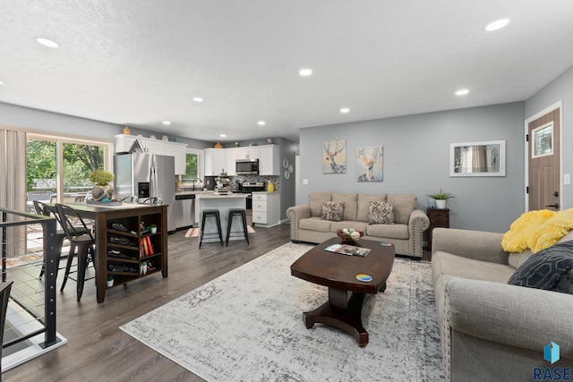 living area featuring recessed lighting and dark wood-style floors