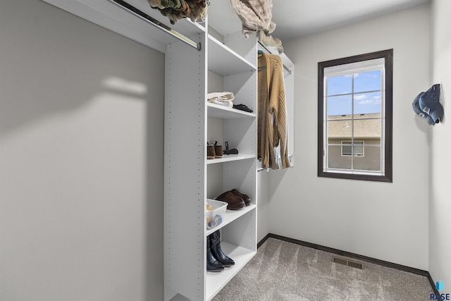 2541 E Meadowside Pl, Sioux Falls, SD 57108 - walk in closet featuring carpet floors and a barn door