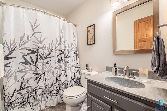 711 Britz Dr, Luverne, MN 56156 - bathroom with vanity, toilet, wood finished floors, and a shower with shower curtain