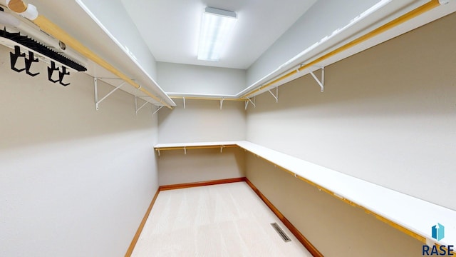 851 Regency Ct, Brookings, SD 57006 - spacious closet featuring light carpet