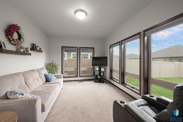 living room featuring light colored carpet