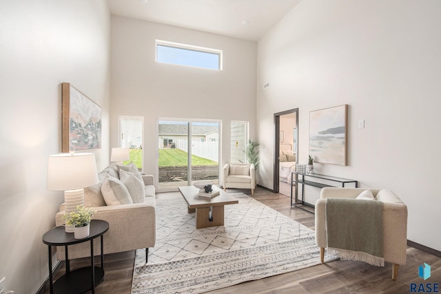 living room featuring a high ceiling and wood finished floors