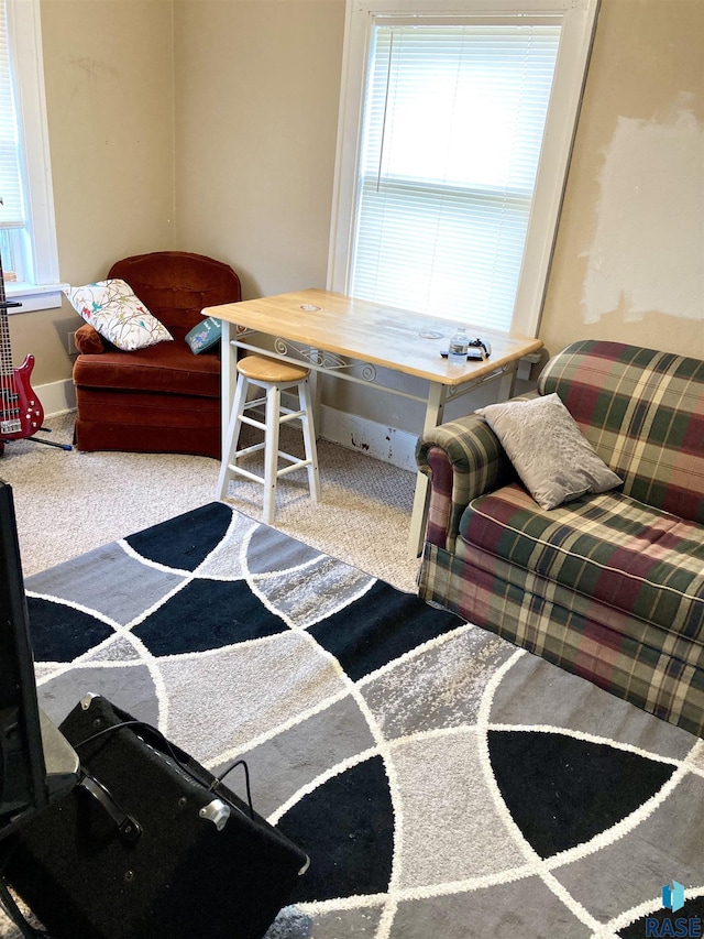 305 S 5th St, Menno, SD 57045 - view of carpeted living room