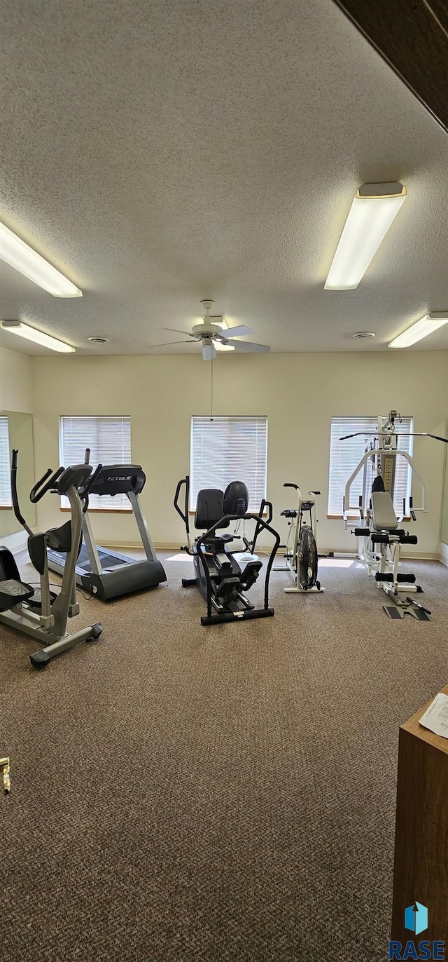 7200 S Hoffman Pl, Sioux Falls, SD 57108 - workout area featuring carpet flooring, a textured ceiling, and a ceiling fan