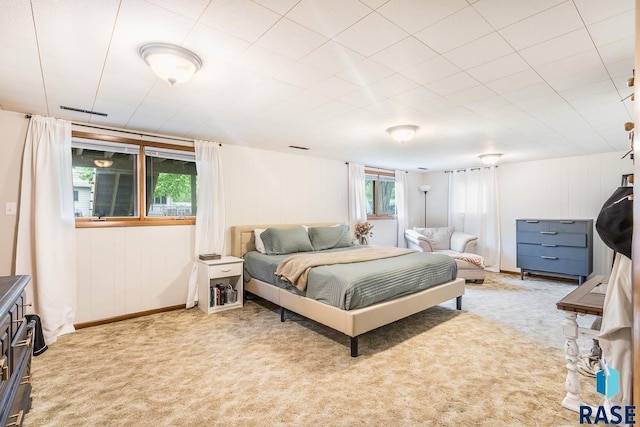 1002 N Carol St, Luverne, MN 56156 - bedroom with carpet flooring and baseboards