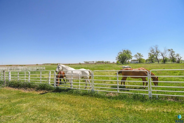 47138 293rd St, Beresford, SD 57004 - view of yard featuring a rural view