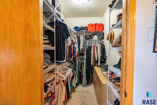 811 Southview Dr, Larchwood, IA 51241 - spacious closet with carpet floors