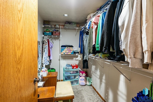 811 Southview Dr, Larchwood, IA 51241 - spacious closet with carpet floors