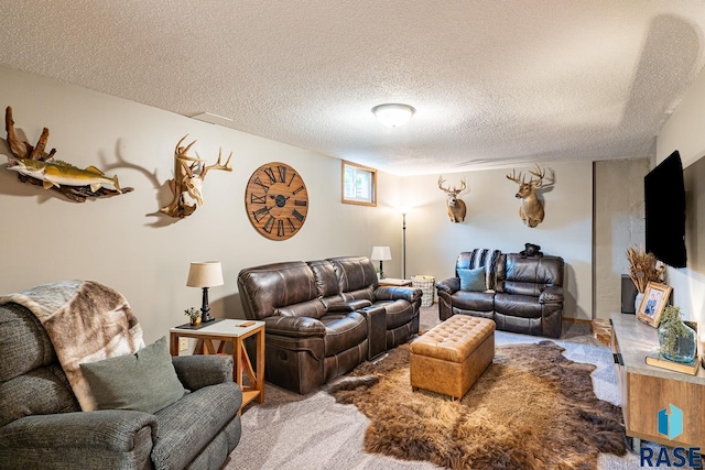 carpeted living area featuring a textured ceiling