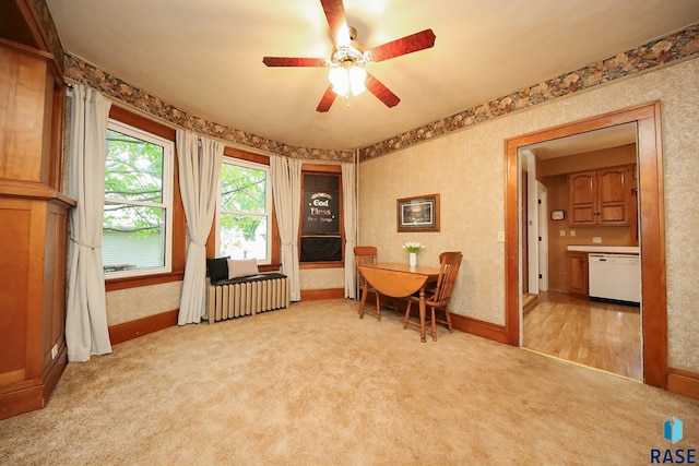 105 N 7th St, Beresford, SD 57004 - dining space featuring light carpet, a ceiling fan, baseboards, and radiator heating unit
