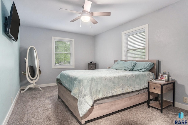 1034 N Elmwood Ave, Luverne, MN 56156 - bedroom featuring multiple windows, carpet, baseboards, and a ceiling fan