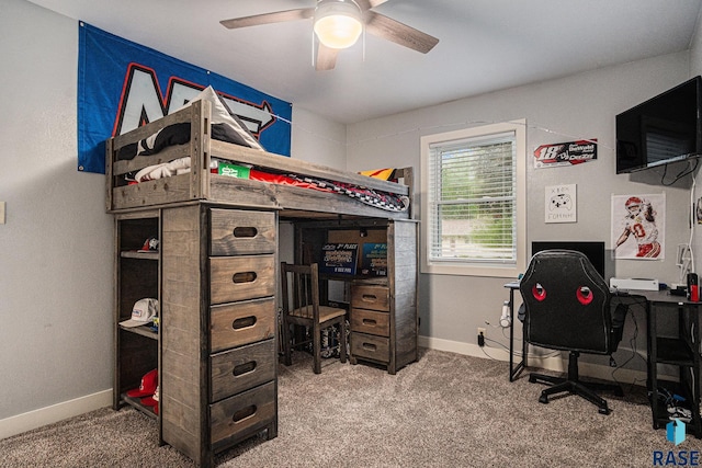 1034 N Elmwood Ave, Luverne, MN 56156 - bedroom with carpet floors, an office area, baseboards, and a ceiling fan