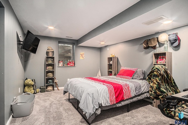 1034 N Elmwood Ave, Luverne, MN 56156 - carpeted bedroom with baseboards