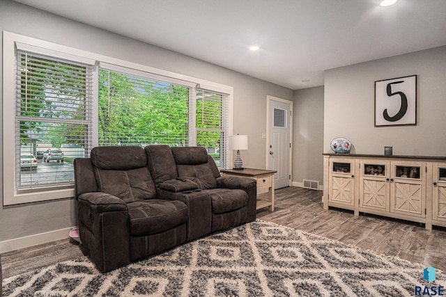 1034 N Elmwood Ave, Luverne, MN 56156 - living room with baseboards, recessed lighting, and wood finished floors