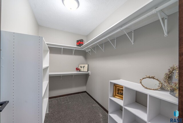 525 Quartzite Ave, Tea, SD 57064 - spacious closet featuring carpet