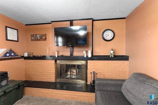 316 S Norbeck St, Vermillion, SD 57069 - living area with a textured ceiling and a fireplace