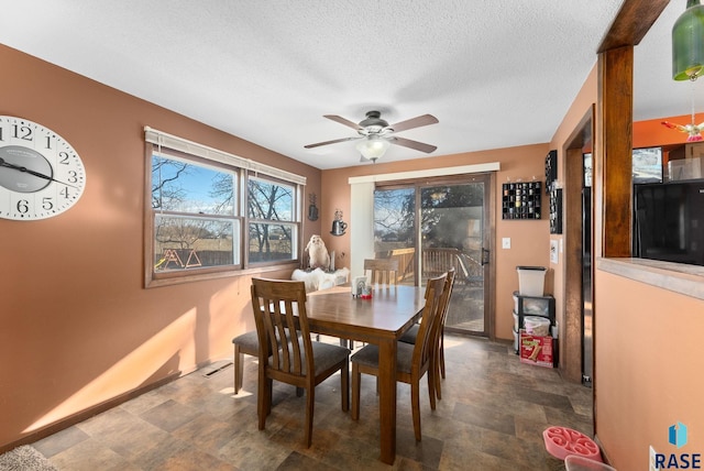 316 S Norbeck St, Vermillion, SD 57069 - dining space featuring a ceiling fan, stone finish flooring, baseboards, and a textured ceiling