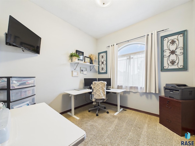 8113 S Copper Ridge Rd, Sioux Falls, SD 57108 - office area with baseboards and carpet floors