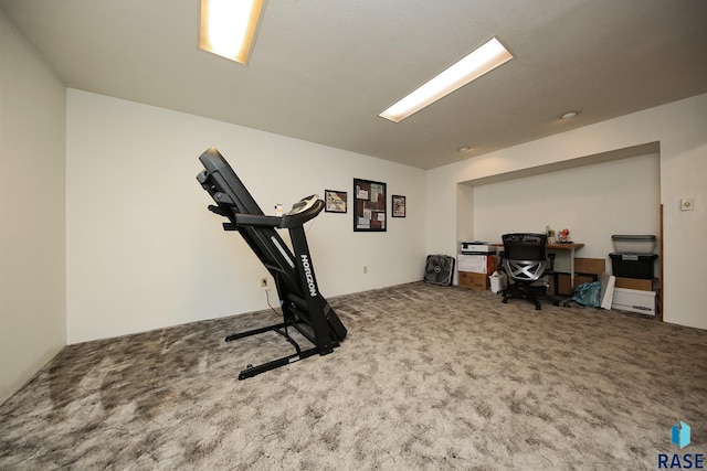 109 N Frank Ave, Garretson, SD 57030 - workout room with carpet floors