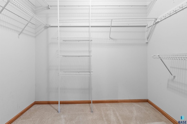 6700 W Snowberry Cir, Sioux Falls, SD 57106 - walk in closet with carpet