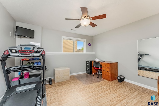 1302 Ripple Creek Rd, Dell Rapids, SD 57022 - office featuring wood finished floors, a ceiling fan, and baseboards
