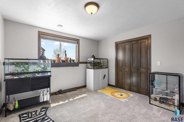 7305 W Jacob Cir, Sioux Falls, SD 57106 - miscellaneous room featuring carpet and baseboards