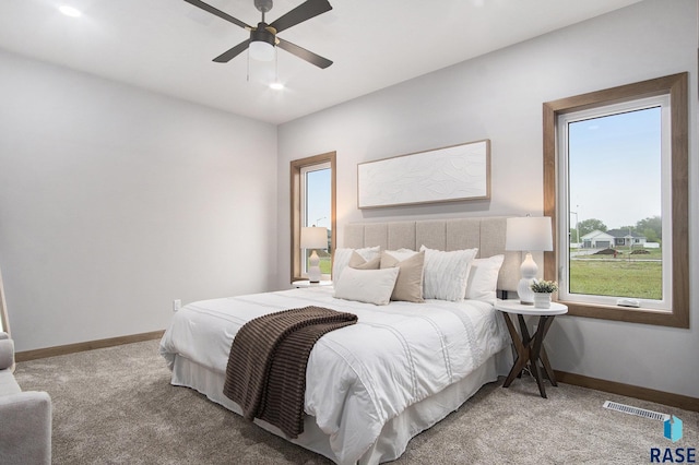 501 S Huckleberry Trl, Harrisburg, SD 57032 - carpeted bedroom with baseboards and a ceiling fan