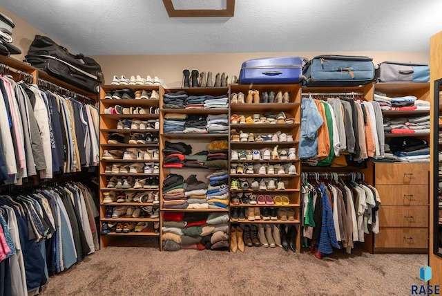 1301 S Hyannis Port Ln, Sioux Falls, SD 57106 - walk in closet featuring carpet floors