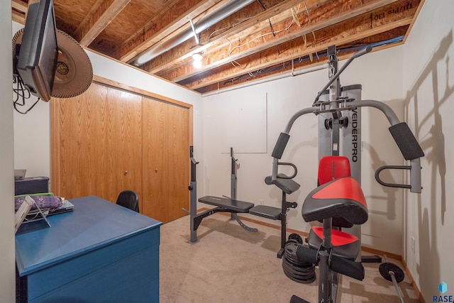 7308 W 53rd St, Sioux Falls, SD 57106 - workout room featuring carpet