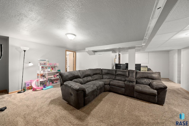 350 W Maple St, Edgerton, MN 56128 - carpeted living area with baseboards