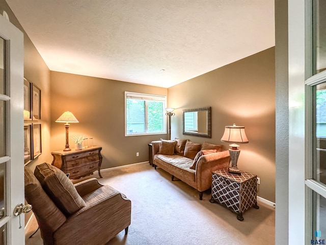 108 W Hazeltine Ln, Sioux Falls, SD 57108 - living room with carpet flooring, baseboards, and a textured ceiling