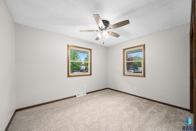 1912 E Sylvan Cir, Brandon, SD 57005 - spare room featuring healthy amount of natural light, carpet flooring, a ceiling fan, and a textured ceiling